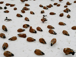 Rectangle x 200 e1a65b72 dfb9 4d43 8741 7c8aaefdb5d1