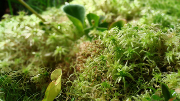 Rectangle x 200 eac11a9d 792c 460f a74b 420a6c986307