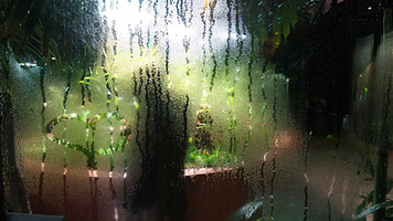 Rectangle x 200 2b5841b4 e31a 4f4d 8337 60ece5edb4c2