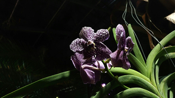 Rectangle x 200 38b63118 1950 459e ae7f bd4f810f48cc