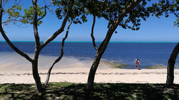 Rectangle x 200 82f3db5e f9bd 42c1 a8f5 de76641051e6