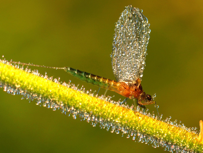 Rectangle 700 x df03fbf0 3a68 4bde 8523 56eec121c1af