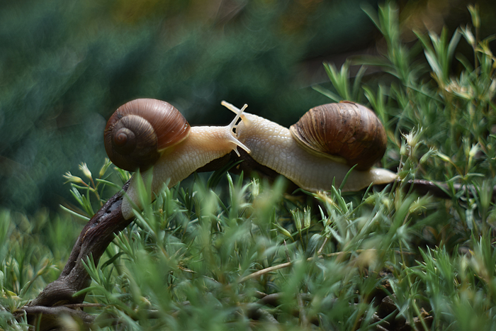 Rectangle 700 x f965fd71 76c6 4928 a3b1 5589e9453aca