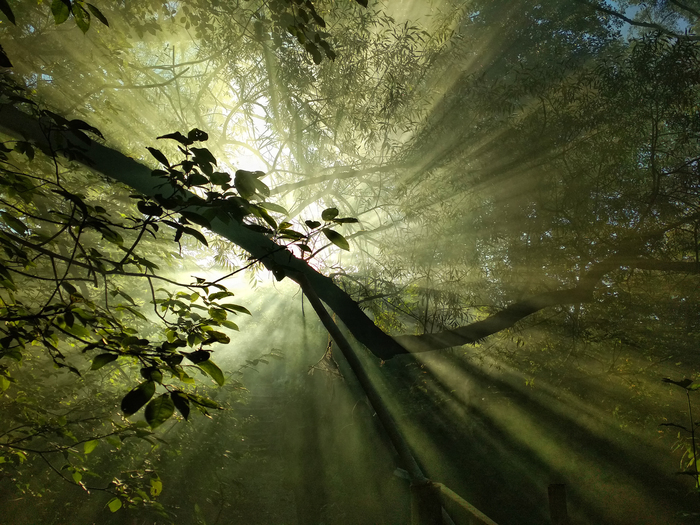 Rectangle 700 x aad8421d f678 4304 b540 13862a247844