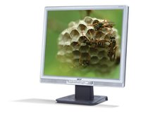 Монитор Acer AL1717Fs