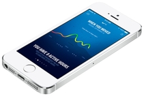 Смартфон Apple iPhone 5S 32Gb