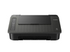 Принтер Canon PIXMA TS304