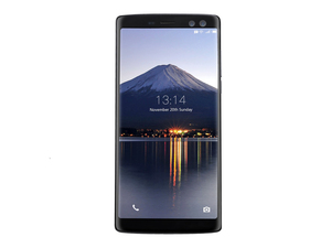 DOOGEE BL12000 Pro 64GB