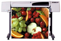 Принтер HP DesignJet 500 A0