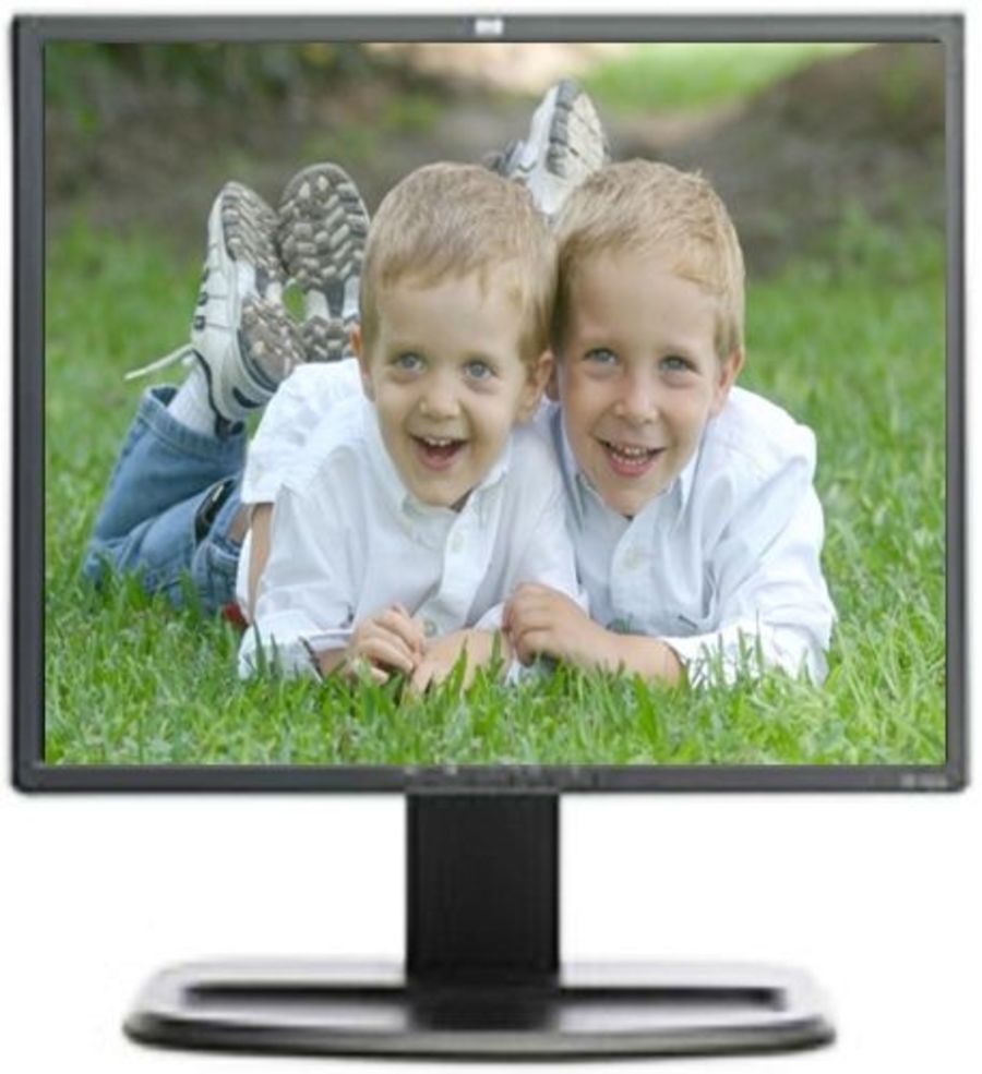 Монитор HP L1955