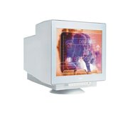 Монитор NEC MultiSync FE991SB