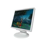 Монитор NEC MultiSync LCD175VXM+