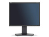 Монитор NEC MultiSync P212