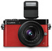 Беззеркальная камера Panasonic Lumix DMC-GM5