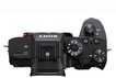 Беззеркальная камера Sony A7R III