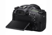 Компактная камера Sony Cyber-shot DSC-RX10 IV