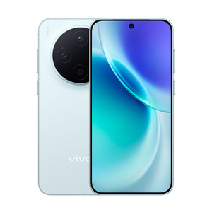 vivo X300